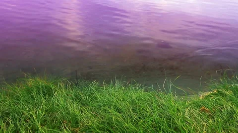 The river is sunset Stock Footage 8646631