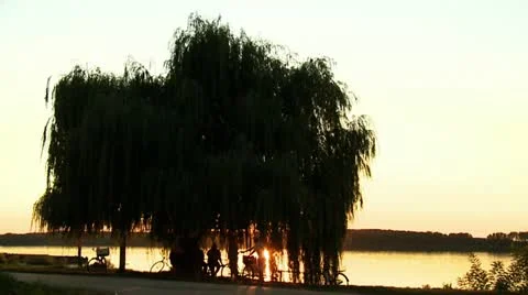 River sunset Video stock 10855557