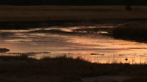 A river at sunset Vídeos de archivo 72571672