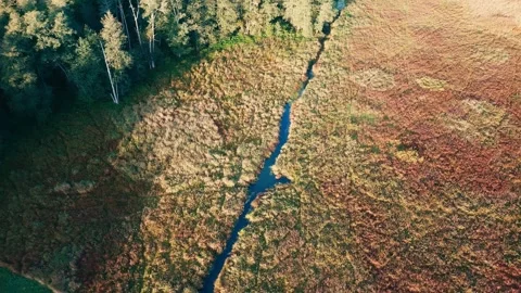 River in sunset Stock Footage 260630262