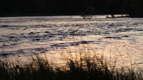 River at sunset with grass	 Stock Footage 137229920