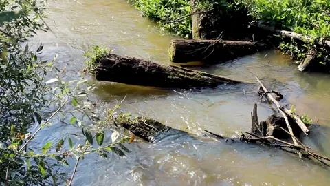 River on sunset in summer time. Sunrise scenic landscape with water in sunlight Stock Footage 128168136