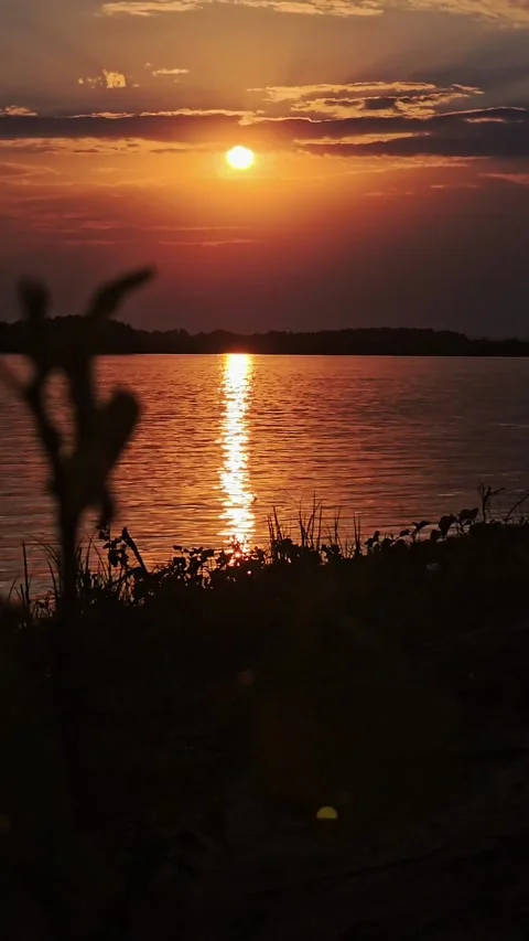 River, sunset, sun setting, nature Stock Footage 312004798