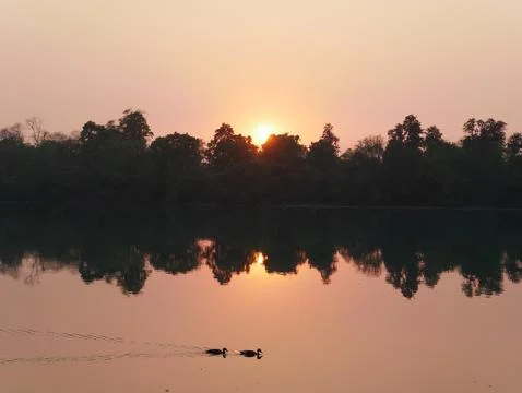 River Sunset with Swimming Ducks Stock Photos
