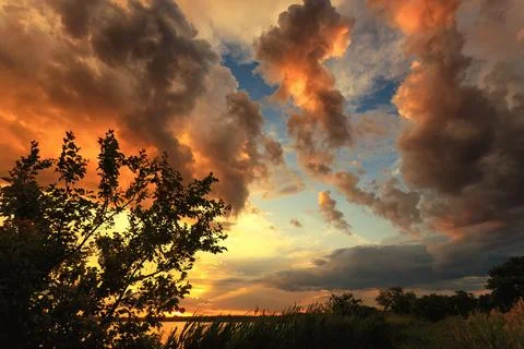 River Sunset with Tree and Reed Silhouette Stock Photos