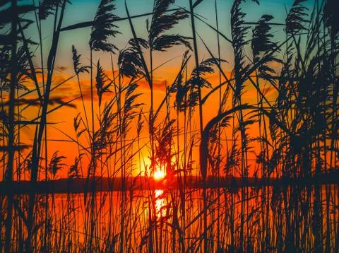 River sunset view site Stock Photos