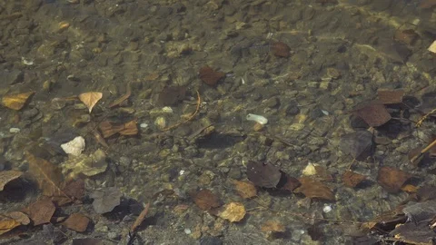 River surf, close up Stock Footage 119253834