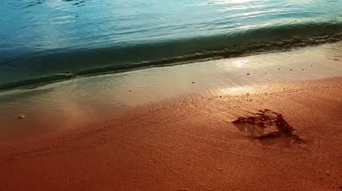 River surf Stock Footage 8621381