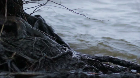 River surf Stock Footage 33955029