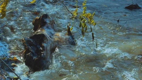 River surf Stock Footage 119253640