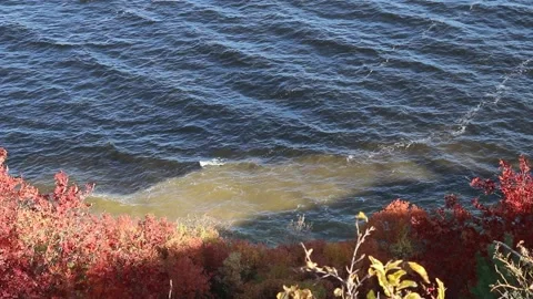 River surf Video stock 145128243