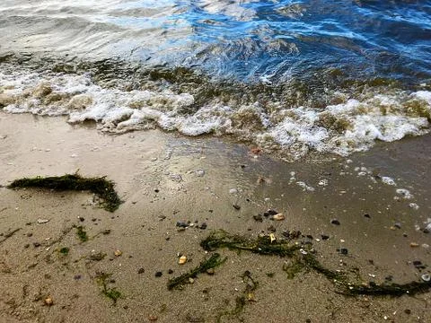 River surf. Stock Photos