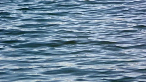 River surface Stock Footage 90489958