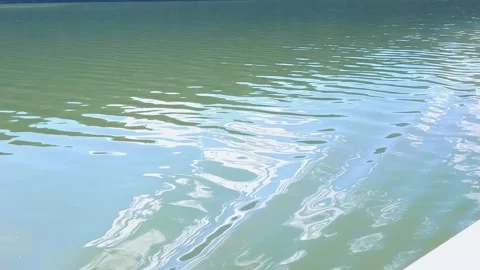 River surface in motion Stock Footage 205121176