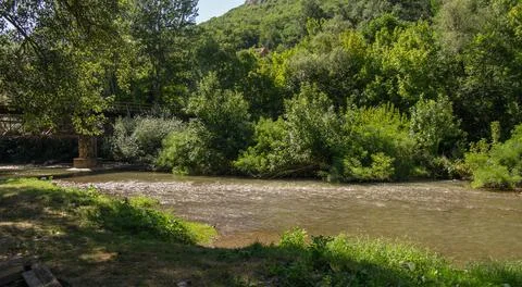The river is surrounded by a beautiful forest Stock Photos