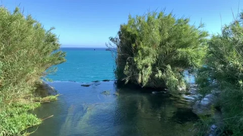 River  surrounded with cane falling down to the Mediterranean sea. Famous Dud Stock Footage 131431124
