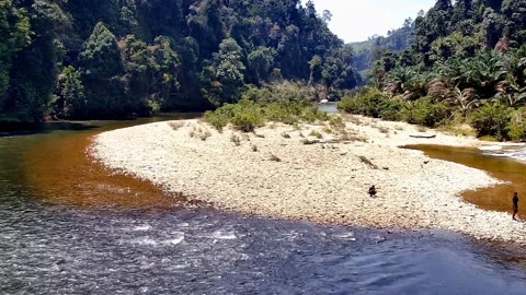River surrounded by dense tropical forest in West Sumatra, Indonesia 스톡 동영상 207849872