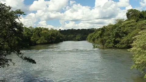 River surrounded for foliage and cloudy sky background Video stock 67250522