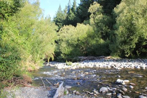 River surrounded by a forest Stock Photos