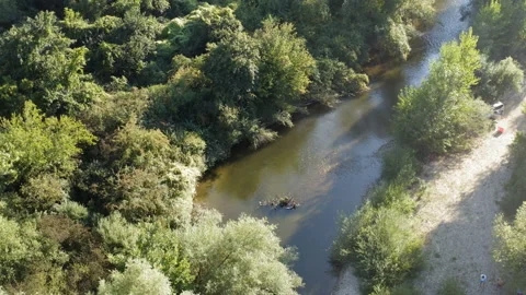 River surrounded by forest with a small beach - drone aerial view Stock Footage 138815375
