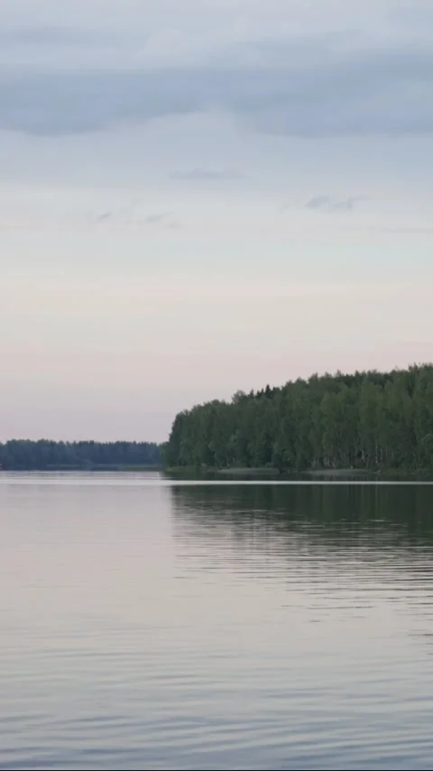 River surrounded by forests Stock Footage 300601306