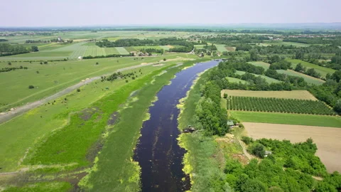 River surrounded with green agricultural fields viewed from above Stock Footage 263140168