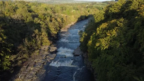 A River, surrounded by green forest Stock Footage 292131699
