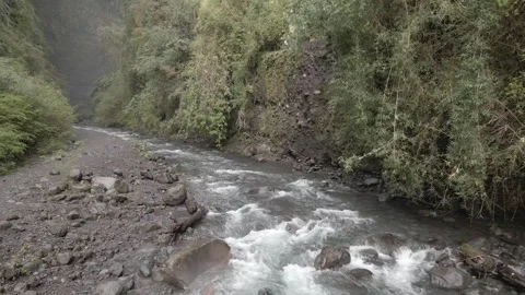 River surrounded by a green natural environment. Stock Footage 249894655