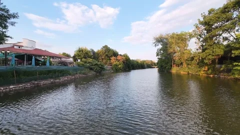 River Surrounded by Green Trees Vídeo Stock 346544561