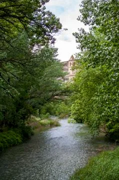 River surrounded by green trees Stock Photos