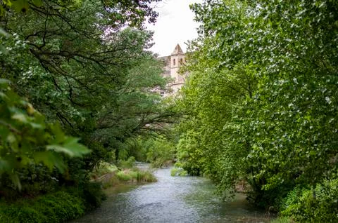 River surrounded by green trees Stock Photos