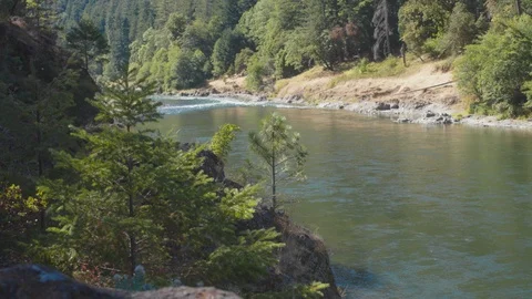 River surrounded by greenery Stock Footage 103813493