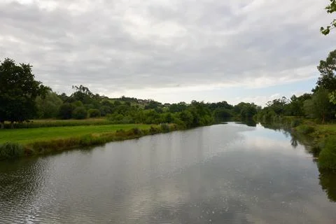 A river surrounded by low vegetation on a gray day Stock Photos