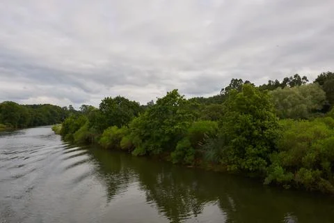 A river surrounded by low vegetation on a gray day Stock Photos