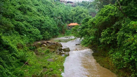River, surrounded by lush rainforest on Bali. Stock Footage 128442407