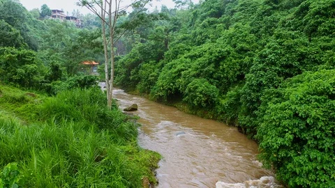 River, surrounded by lush rainforest on Bali. Stock Footage 128442676
