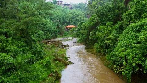River, surrounded by lush rainforest on Bali. Stock Footage 128443185