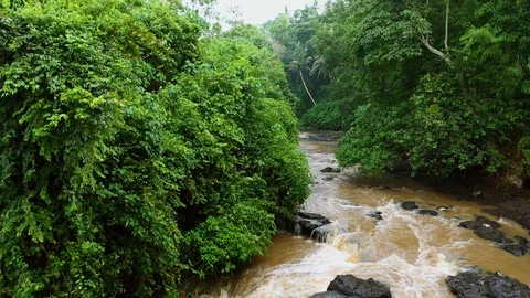 River, surrounded by lush rainforest on Bali. Stock Footage 128443205