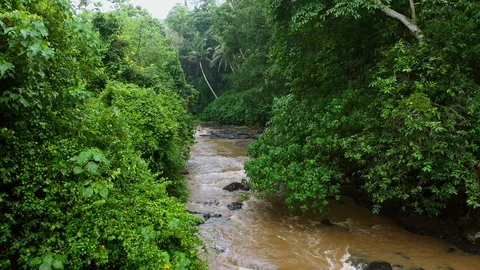 River, surrounded by lush rainforest on Bali. Stock Footage 128443489