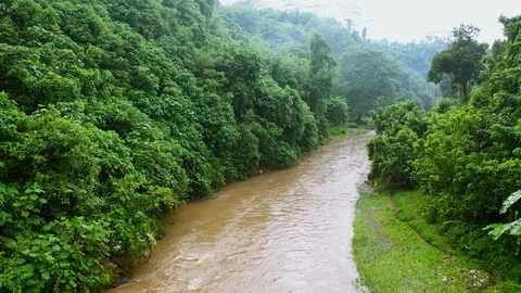 River, surrounded by lush rainforest on Bali. Stock Footage 128443783