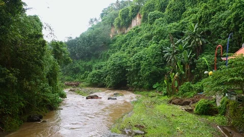 River, surrounded by lush rainforest on Bali. Stock Footage 128444035