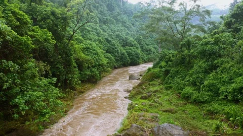 River, surrounded by lush rainforest on Bali. Stock Footage 128444362