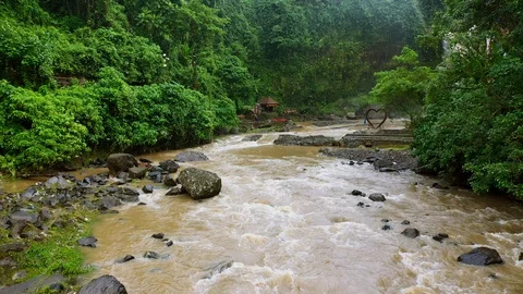 River, surrounded by lush rainforest on Bali. Stock Footage 128445341