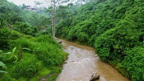 River, surrounded by lush rainforest on Bali. Stock Footage 128447169
