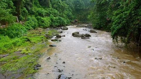 River, surrounded by lush rainforest on Bali. Stock Footage 128447596