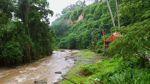 River, surrounded by lush rainforest on Bali. Stock Footage 128448120