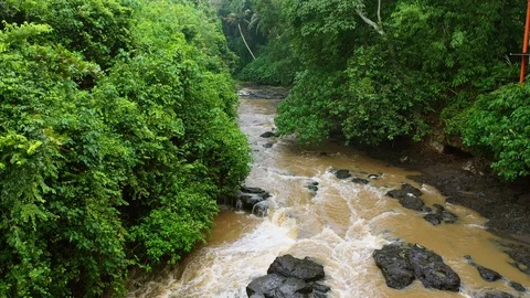 River, surrounded by lush rainforest on Bali. Stock Footage 128448672