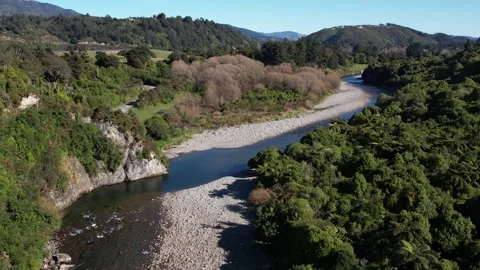 A River Surrounded by Native Bush 스톡 동영상 255865885