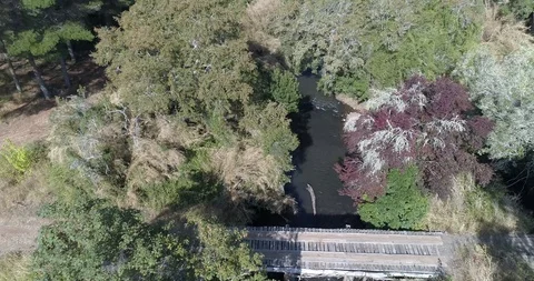 River surrounded by nature Stock Footage 124858766