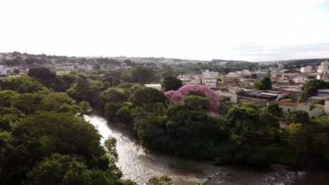 River surrounded by nature in the middle of the city Stock Footage 239269503